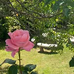 Apartament Lelle -kert 03 Balatonlelle