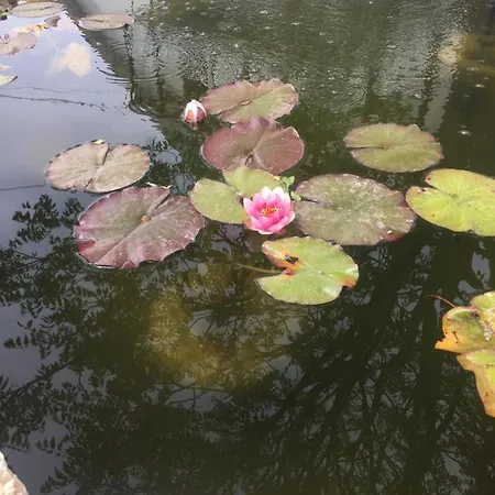 Lelle -kert 03 Apartment *