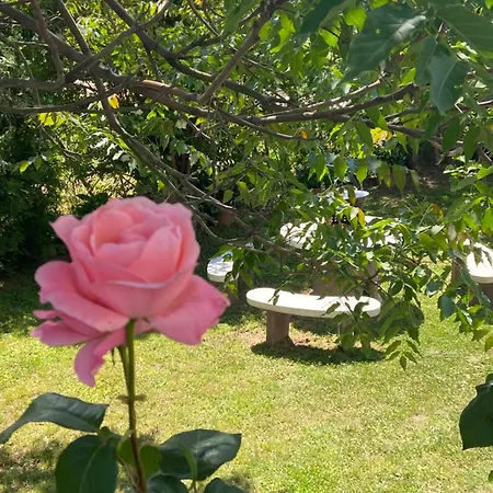 Apartment Lelle -kert 03 Balatonlelle