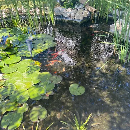 Apartment Lelle -kert 03