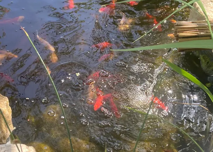 Lelle -kert 03 Apartment Balatonlelle