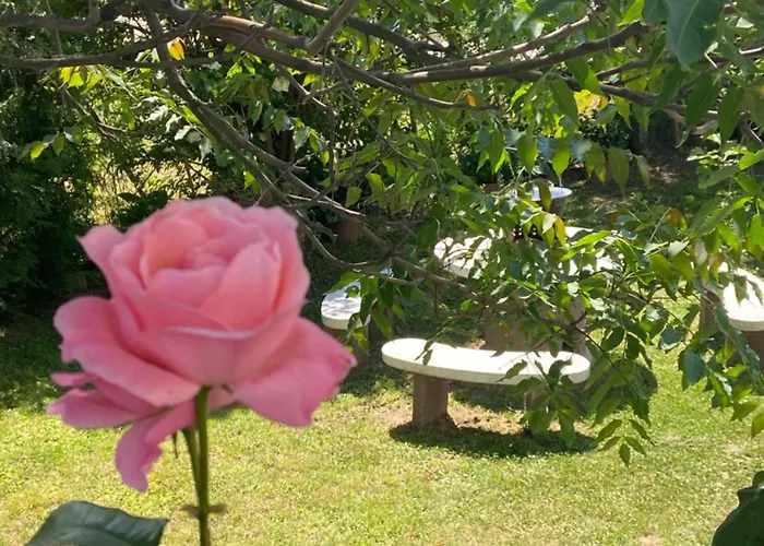 דירה Lelle -kert 03 בלטונללה