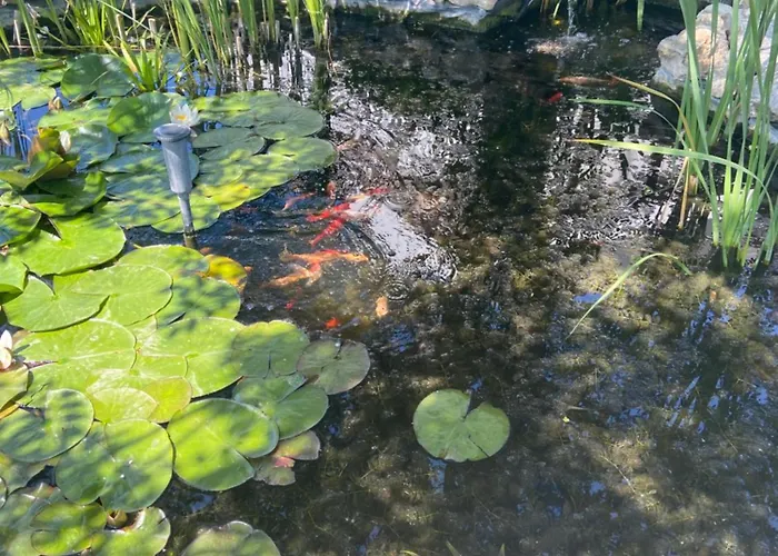 Apartment Lelle -kert 03